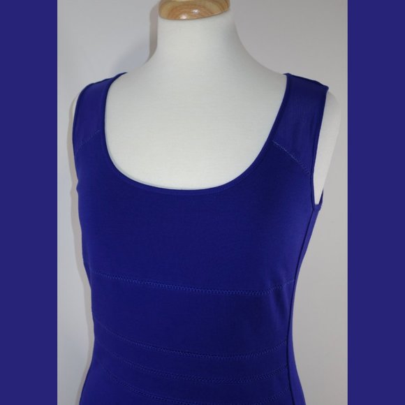 Cluny Royal Blue Paneled Tank Dress - Size 6 - Picture 8 of 15